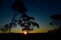 Sunset through the trees in the Blue Mountains Royalty Free Stock Photo