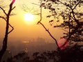 Sunset through the trees with city buildings in the background at Namsan park in Seoul Royalty Free Stock Photo