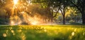 Sunset through trees with lawn sprinklers