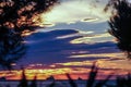 Sunset with trees, sea and clouds in Italy, Europe. Royalty Free Stock Photo