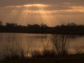 Sunset trees silhouettes over lake France