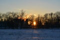 Sunset through the trees in winter city. Beautiful urban scene with sunlight on snow Royalty Free Stock Photo