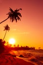 Sunset on tropical beach with big sun circle over the horizon and palm trees Royalty Free Stock Photo