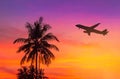 Sunset on tropical beach with coconut palm trees during silhouette airplane flying take off over