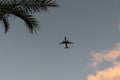 sunset on tropical beach with coconut palm trees during silhouette airplane flying take off over Royalty Free Stock Photo