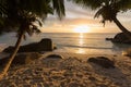 Sunset at tropical beach with palm trees framing the view