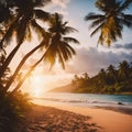 the sunset at a tropical beach with palm trees, waves and waves crashing in Royalty Free Stock Photo