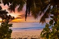 Sunset on tropical beach - Seychelles Royalty Free Stock Photo