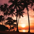 Sunset on the tropical beach Royalty Free Stock Photo