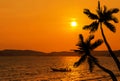 Sunset on tropical beach with silhoutte coconut palm trees and silhoutte fisherman boat Royalty Free Stock Photo