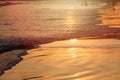 Sunset on tropical beach in Sri Lanka - golden color waves sea water, silhouette of people on background. Royalty Free Stock Photo