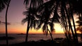 Sunset on a tropical beach, swaying palm leaves, holiday atmosphere, natural colors, calm sea glistening in the rays of the settin