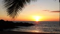 Sunset on a tropical beach, swaying palm leaves, holiday atmosphere, natural colors, calm sea glistening in the rays of the settin