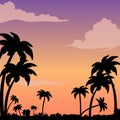 Sunset on a tropical island against a silhouette of palm trees. Evening background image with clouds. Royalty Free Stock Photo