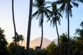 Sunset on tropical island. Coco palm trees and distant mountain in evening sunlight. Romantic place for wedding Royalty Free Stock Photo