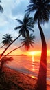 Sunset tropical island sea beach, ocean sunrise landscape, palm tree, yellow sun, water, orange, red, pink sky, summer holidays Royalty Free Stock Photo