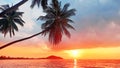 Sunset tropical island sea beach, ocean sunrise landscape, palm tree, yellow sun, water, orange, red, pink sky, summer holidays Royalty Free Stock Photo