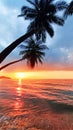 Sunset tropical island sea beach, ocean sunrise landscape, palm tree, yellow sun, water, orange, red, pink sky, summer holidays Royalty Free Stock Photo