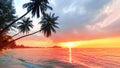 Sunset tropical island sea beach, ocean sunrise landscape, palm tree, yellow sun, water, orange, red, pink sky, summer holidays Royalty Free Stock Photo