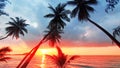 Sunset tropical island sea beach, ocean sunrise landscape, palm tree, yellow sun, water, orange, red, pink sky, summer holidays Royalty Free Stock Photo