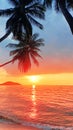 Sunset tropical island sea beach, ocean sunrise landscape, palm tree, yellow sun, water, orange, red, pink sky, summer holidays Royalty Free Stock Photo