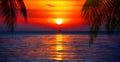 Sunset tropical island sea beach panorama, ocean sunrise, palm tree, orange red sky, yellow sun, blue water, summer holidays Royalty Free Stock Photo