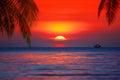 Sunset tropical island sea beach panorama, ocean sunrise, palm tree, orange red sky, yellow sun, blue water, summer holidays Royalty Free Stock Photo