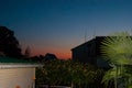 Sunset in the tropics - a dark blue sky with a strip of red setting sun against the background of houses, plants and palm trees Royalty Free Stock Photo