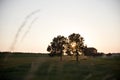 Sunset trough trees in Schalkwijk