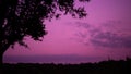 Sunset twilight gradient purple pink night sky with mountain forest