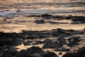 sunset with twilight light reflected in the sea with a golden color on the beach with exposed rocks Royalty Free Stock Photo
