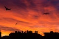 Sunset twilight view of the city skyline from my balcony