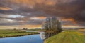 Sunset typical Dutch polder landscape in polder Zaans Rietveld along N11 Royalty Free Stock Photo