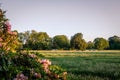 Sunset at a typical Dutch summer farm landscape Twente, Overijssel Royalty Free Stock Photo