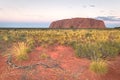 Sunset at Uluru Royalty Free Stock Photo