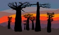 Sunset under Africa flat color vector illustration Royalty Free Stock Photo