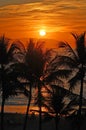 Sunset_vallarta