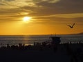 Sunset at Venice beach, Los Angeles, California, USA with people silhouettes, baywatch house and seagulls Royalty Free Stock Photo
