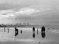 Sunset at Versova Beach and the Arabian Sea, Mumbai