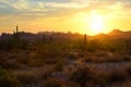 Sunset view of Arizona desert with cacti and mountains