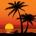 Sunset view in beach with palm tree silhouette Royalty Free Stock Photo