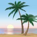 Sunset View beach resort with palm trees wallpaper.