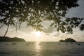 Sunset view of a beach with silhouette of tree, boats and small island Royalty Free Stock Photo