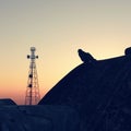 Sunset view of a bird and a tower Royalty Free Stock Photo