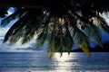 Sunset view through a canopy of a palm tree in the Seychelles from a deserted beach Royalty Free Stock Photo