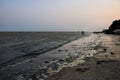 Sunset view of Chandipur beach. Royalty Free Stock Photo