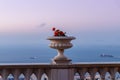 Sunset view of the decorative pot with geraniums on the balcony railings on the upper terrace of the Bahai Garden in Haifa city in