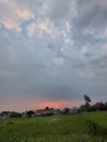 sunset view with grassfields Royalty Free Stock Photo