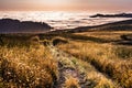 Sunset view of hiking trail in the Santa Cruz mountains; valley covered by a sea of clouds visible in the background; San Royalty Free Stock Photo