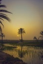 Sunset view in kano Nigeria. Royalty Free Stock Photo